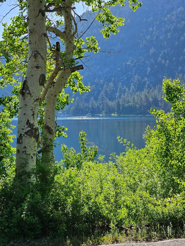 June Lake 3