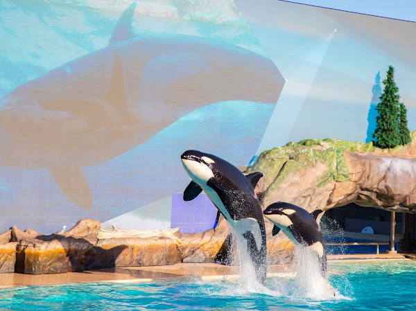SeaWorld San Diego 5