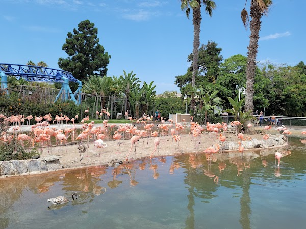 SeaWorld San Diego 3