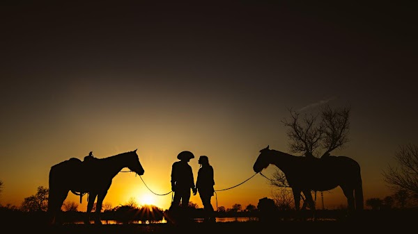 Ocean View Stables 1