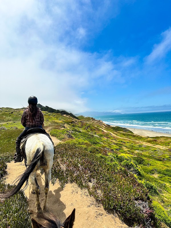 Ocean View Stables 5