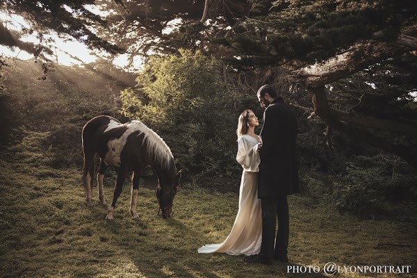 Ocean View Stables 3