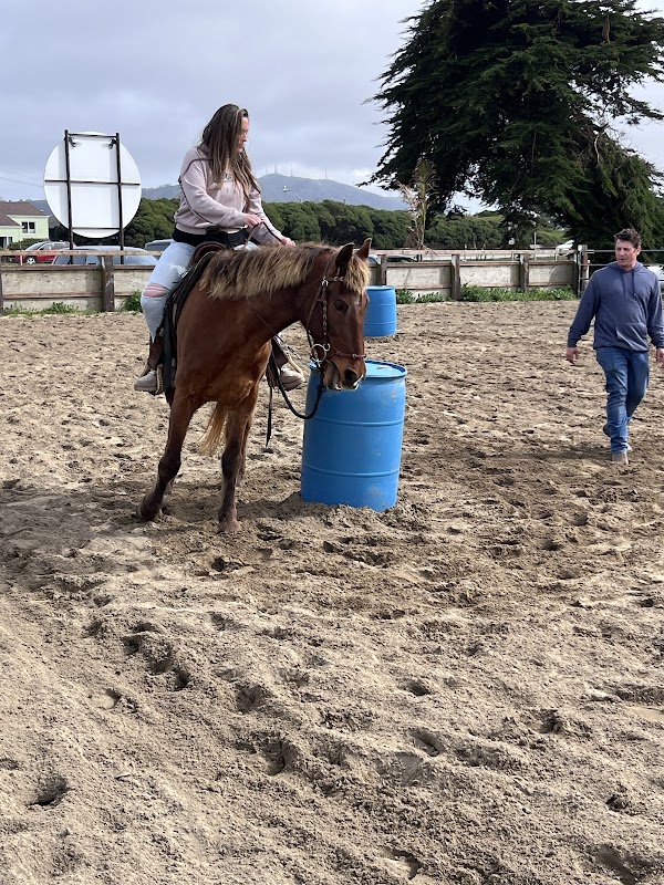 Ocean View Stables 2