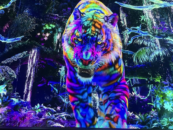 Immersify Kuala Lumpur 3