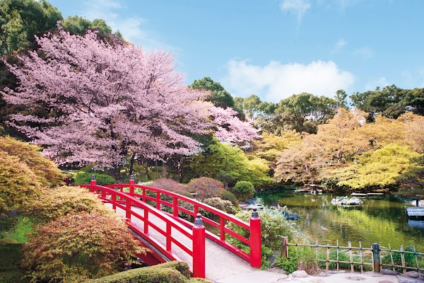 Hotel New Otani Japanese Garden 4