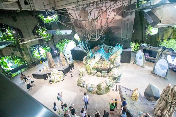 Cloud Forest 2