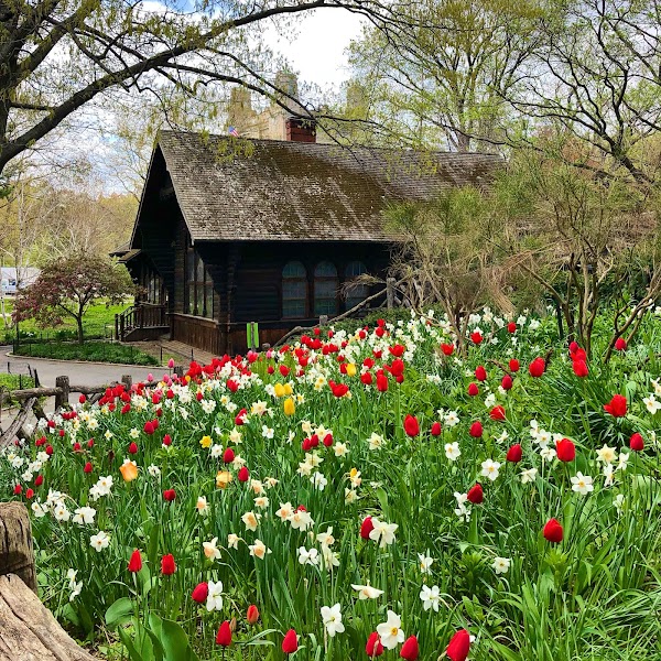 Shakespeare Garden 2