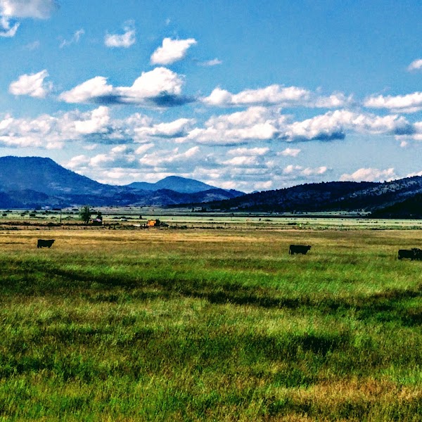 Sierraville 1