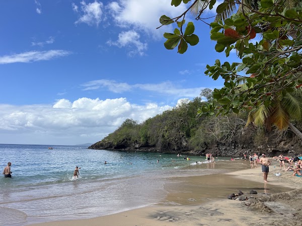 Anse Dufour 5