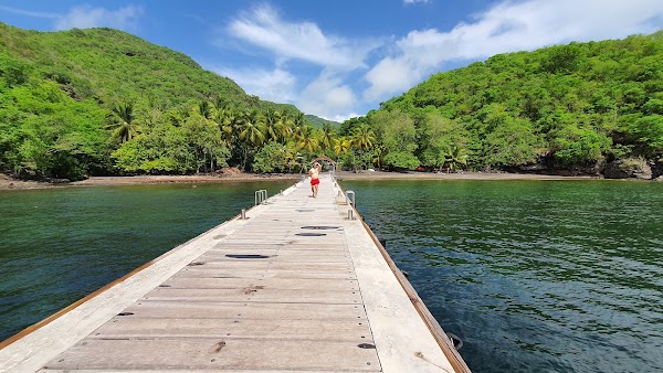 Anse Dufour 2