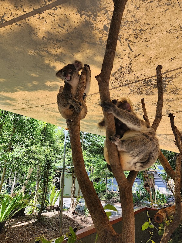 Hartley's Crocodile Adventures 2