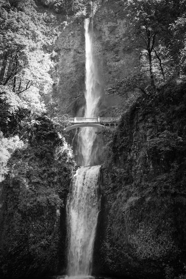 Multnomah Falls 2