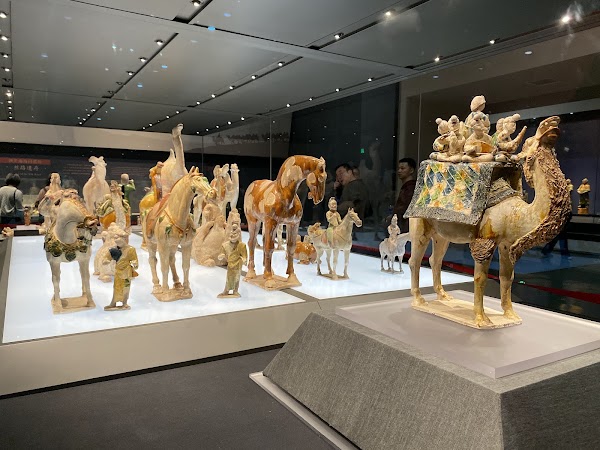 Shaanxi History Museum 3