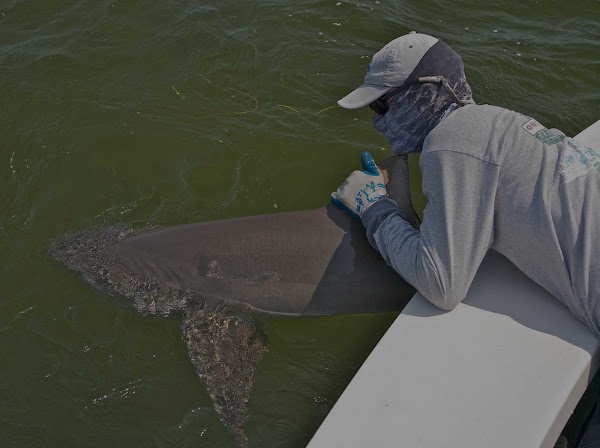 Florida Keys Fun Fishing