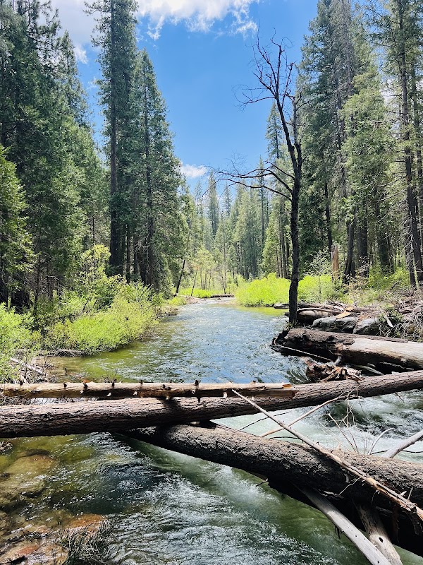 Carlon Falls Trail