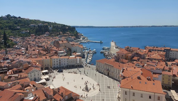 Tartini Square 4