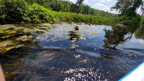 Wakulla Springs
