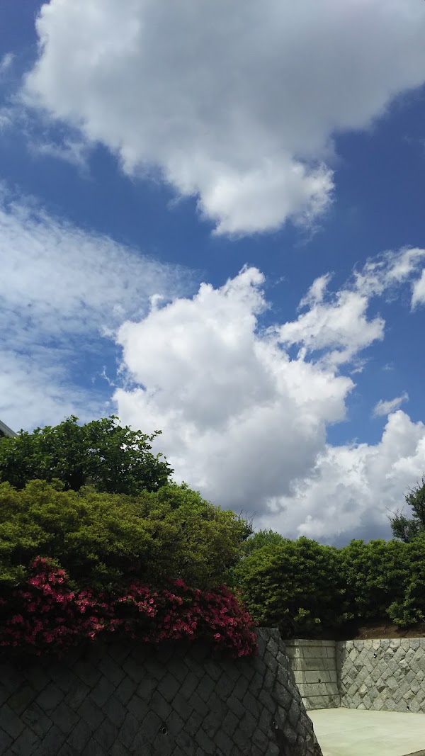 Japan 23