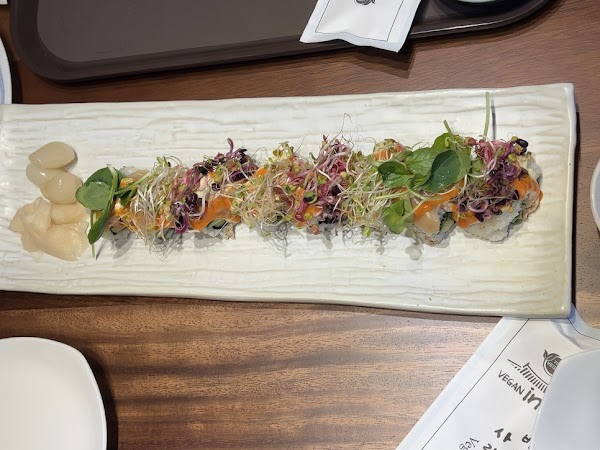 Vegan Insa 5