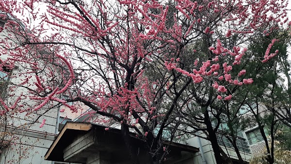 Gyedong-gil 5