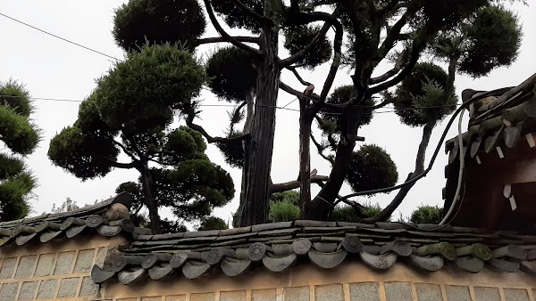 Gyedong-gil 4