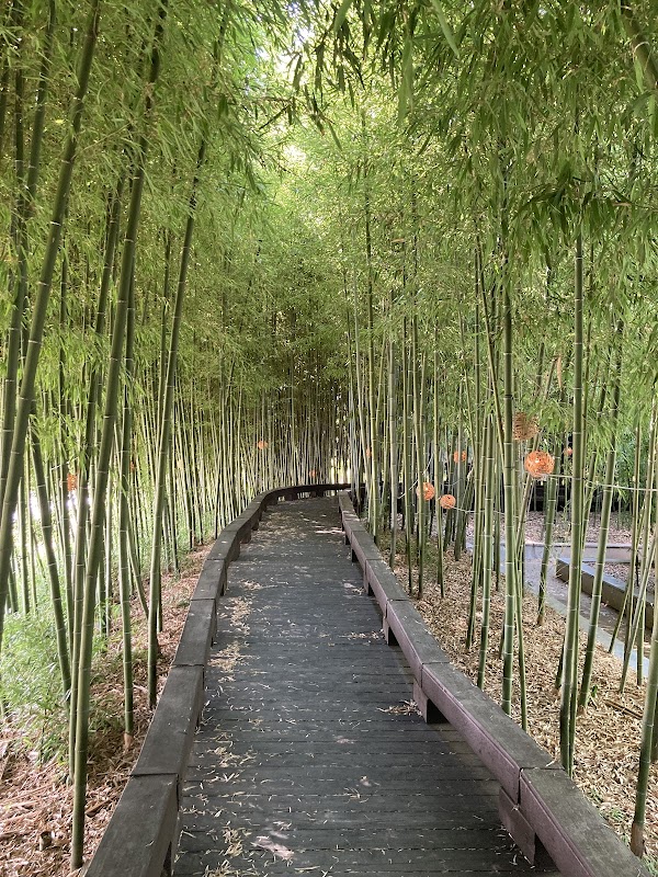 Korea Bamboo Museum