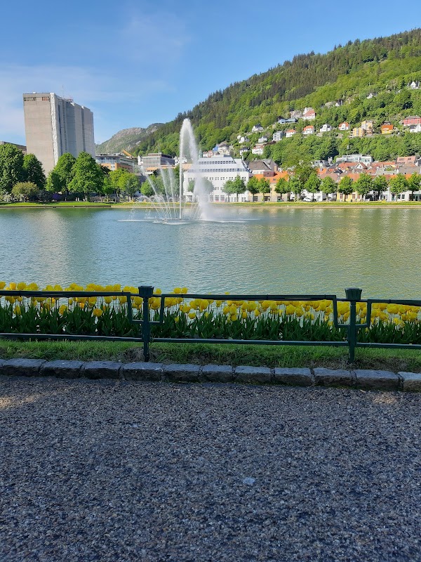 Bergen 4