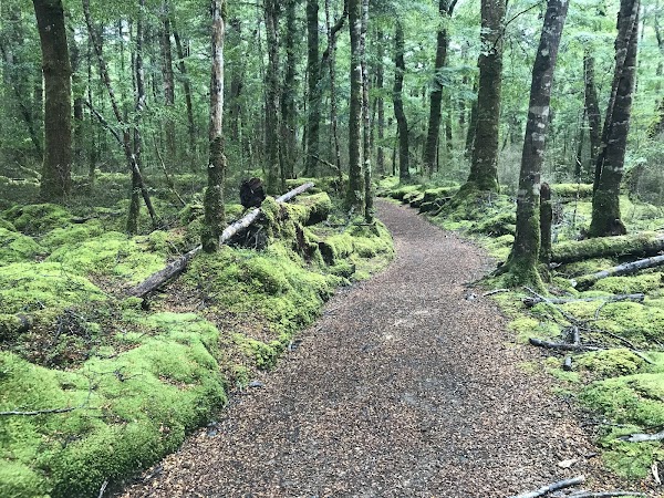 Kepler Track - Great Walks