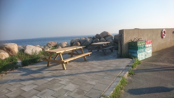 Domsten