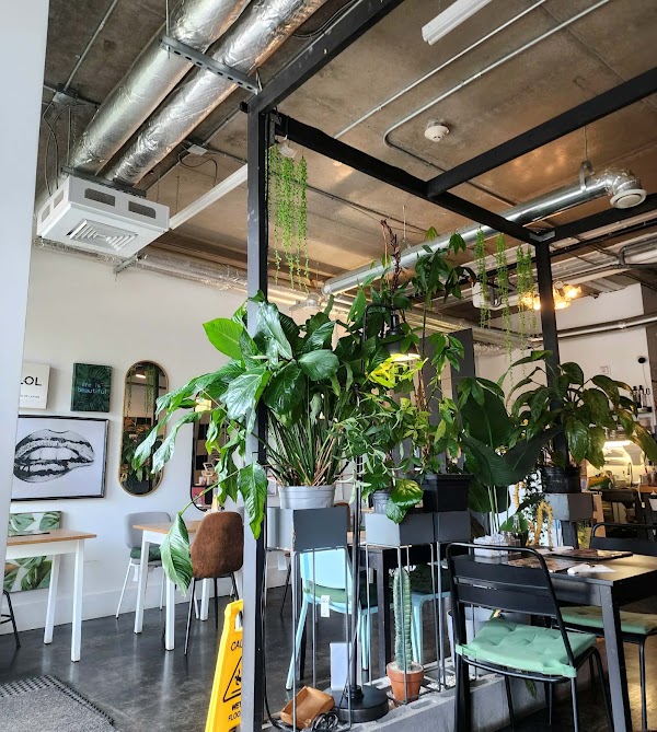 Whynot BU Cafe 2