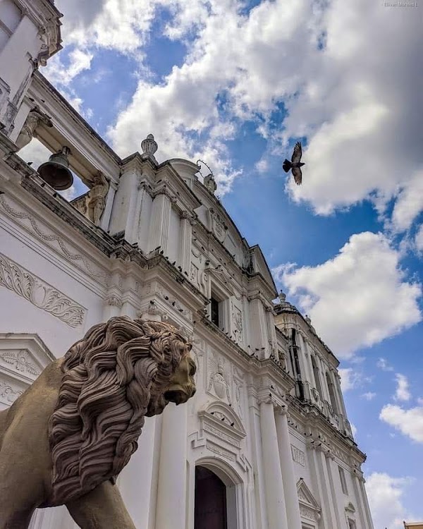 León 4