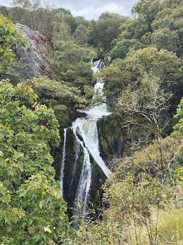Wales 43