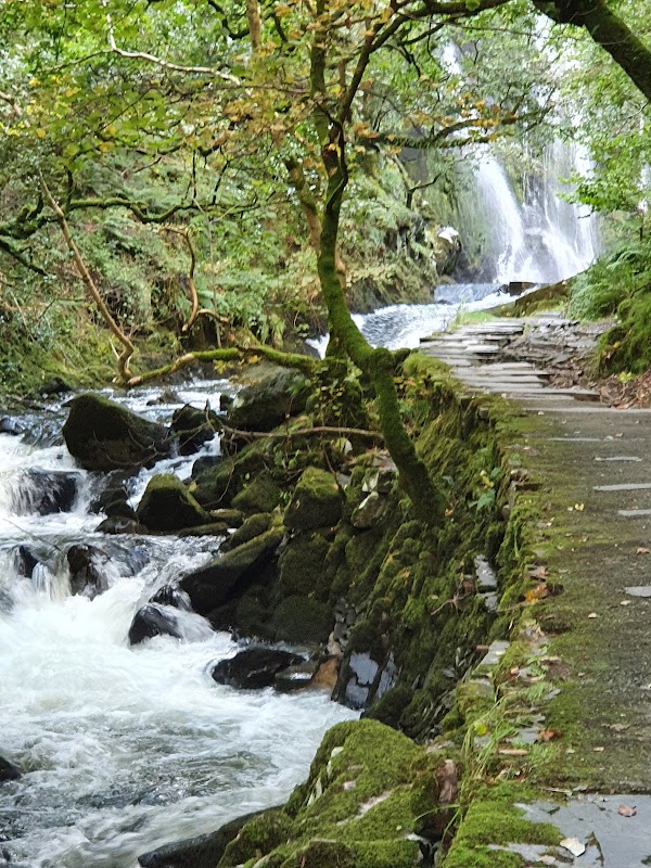 Ceunant Mawr 5