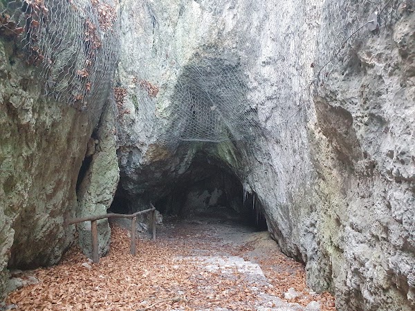 Łokietek Cave 4