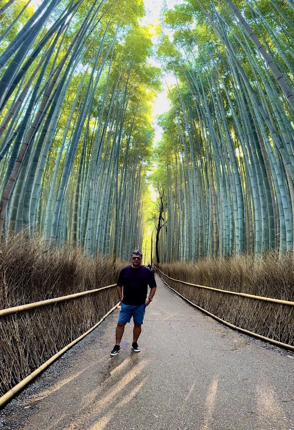 Fushimi Inari Bamboo Forest 5