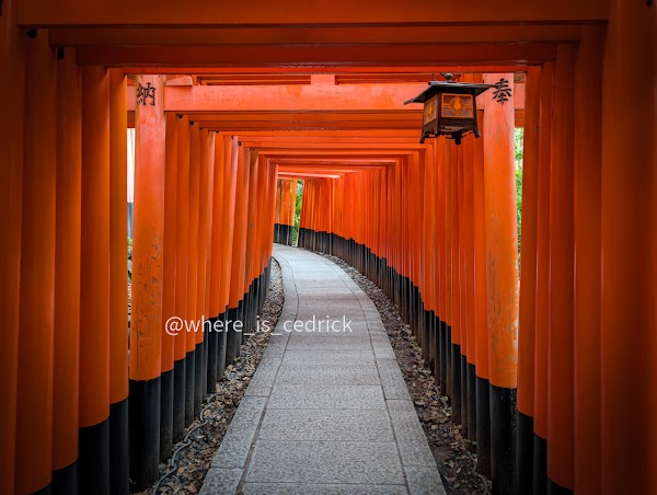 Fushimi Inari Bamboo Forest 4