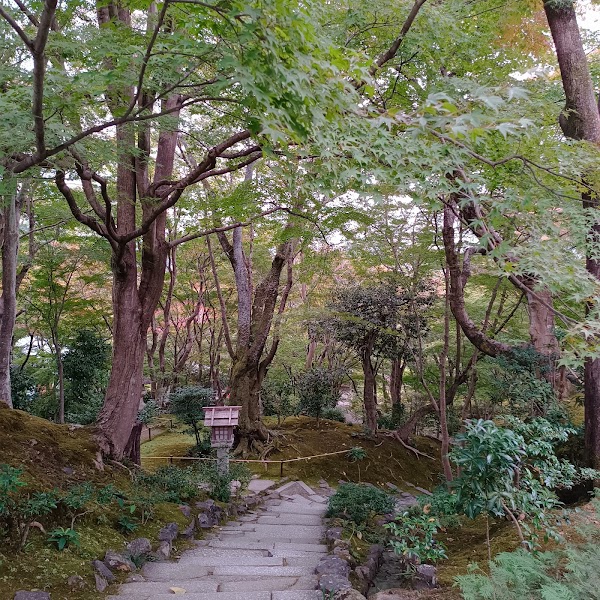 Fushimi Inari Bamboo Forest 2