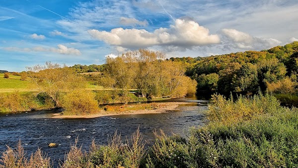 Forest of Dean 5