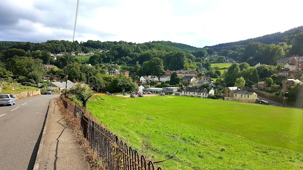 Forest of Dean 4