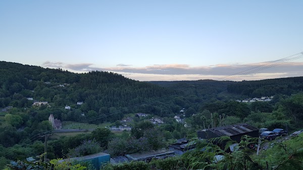 Forest of Dean 2