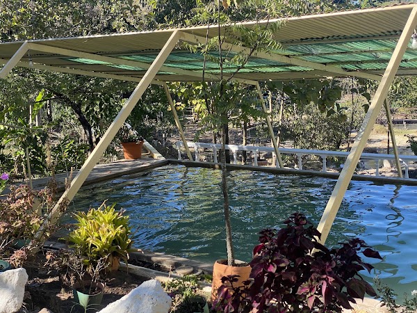 Santa Teresa Hot Springs. 3