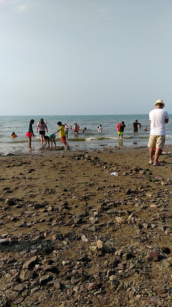 Coyote Point Beach 1