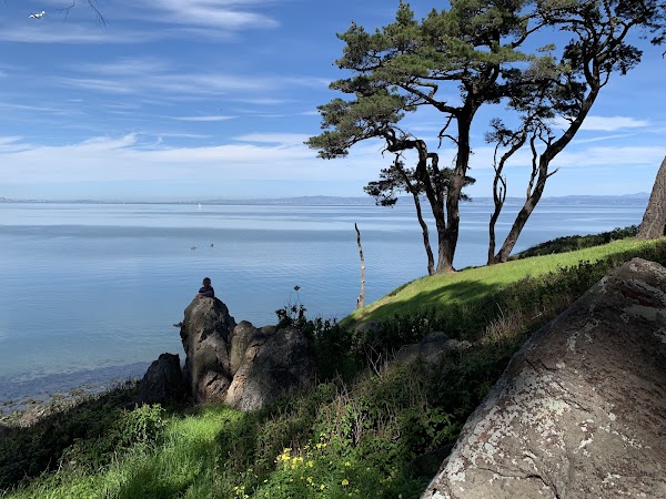 Coyote Point Beach 4
