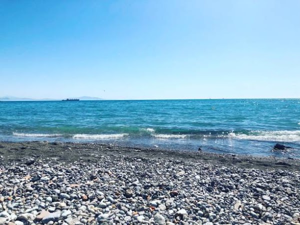 Coyote Point Beach 3