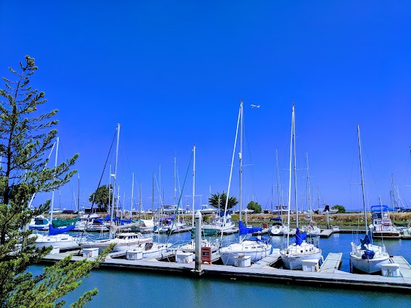 Coyote Point Beach 2