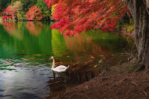 Minamiinaga Lake 5