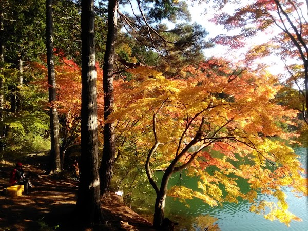 Minamiinaga Lake 4
