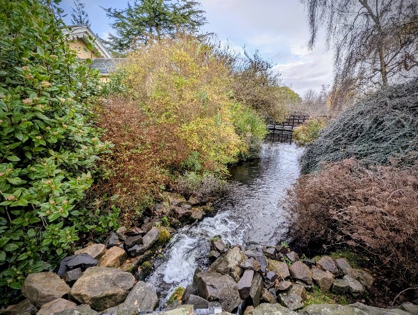 At the Botanics