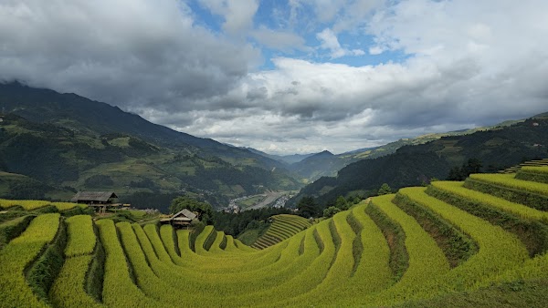 Móng ngựa Mù Cang Chải