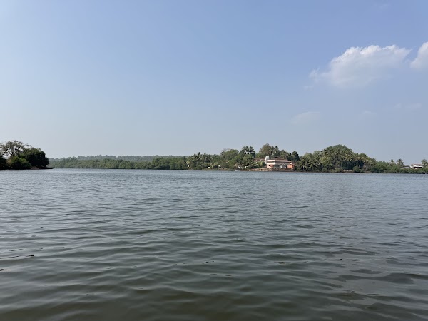 Chapora mangroves kayaking 1